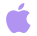 Apple icon